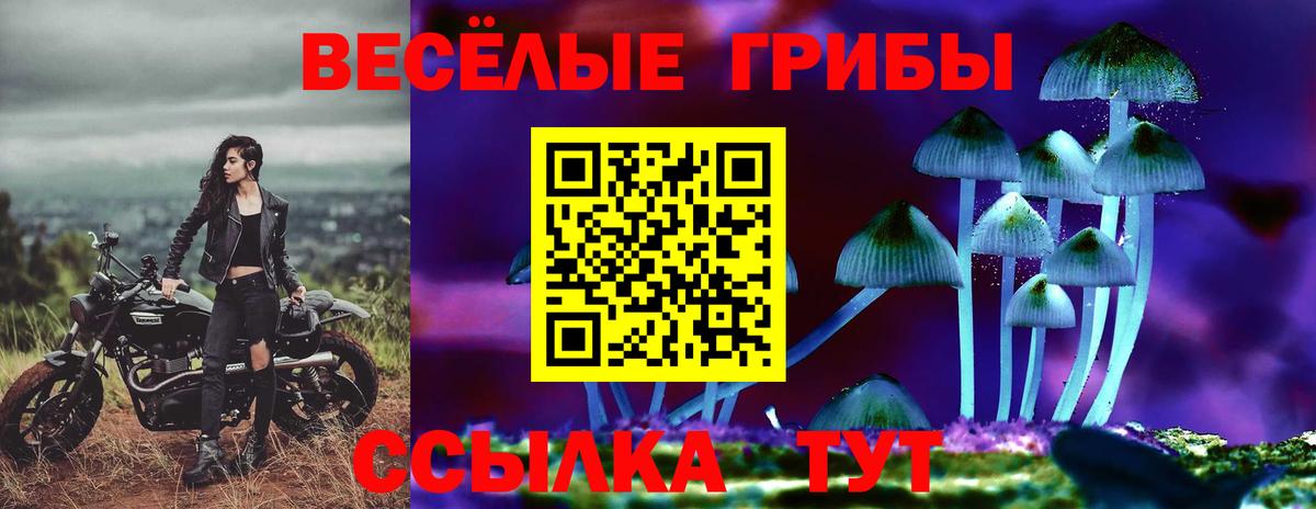 Псилоцибиновые грибы Magic Shrooms  Галлюциногенные грибы Psilocybe  Усть-Илимск  Вход с VPN 
