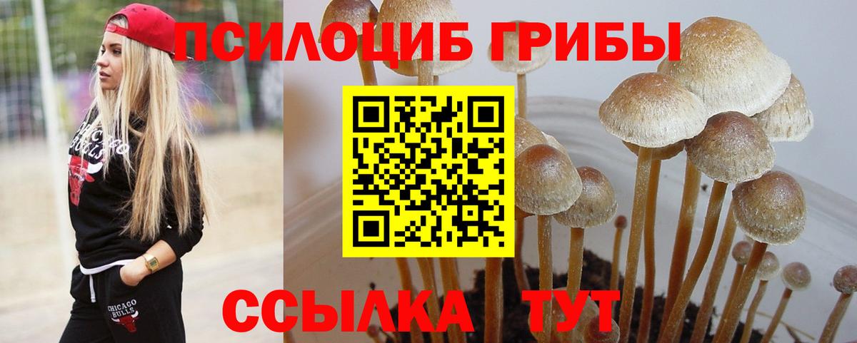 Галлюциногенные грибы MAGIC MUSHROOMS Усть-Илимск